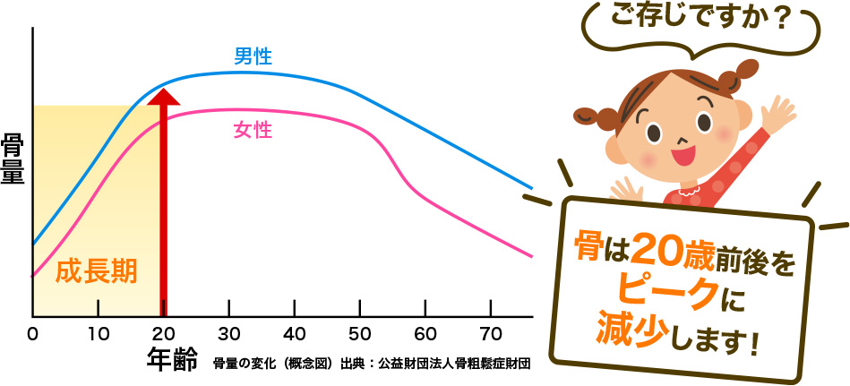 成長期はカルシウム摂取の最重要時期です